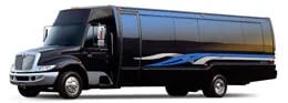 Party Bus Party Bus